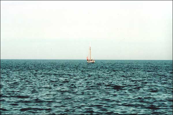 Antica opuszcza Gdyni - Zatoka Gdaska