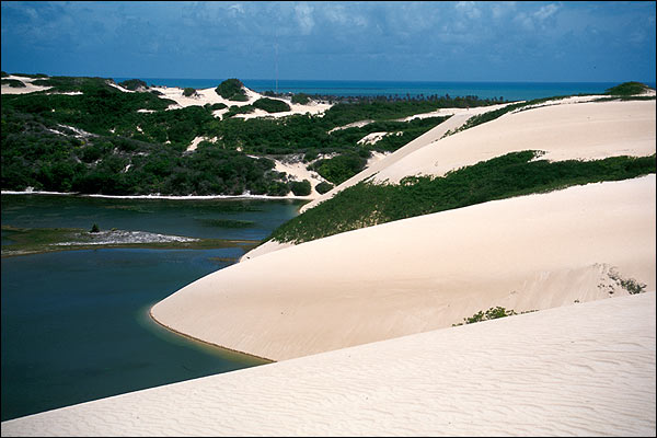 Brazylia - Krajobraz w rezerwacie
