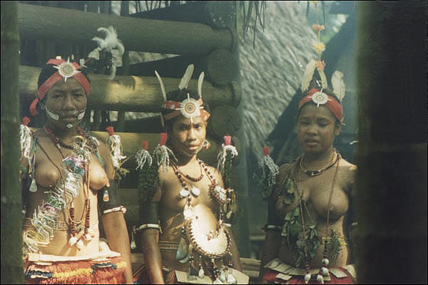 Dziewczyny z Triobrand Island, Papua Nowa Gwinea
