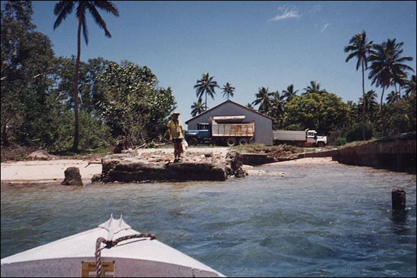 Andrzej wraca z zakupw - Molekula, Vanuatu